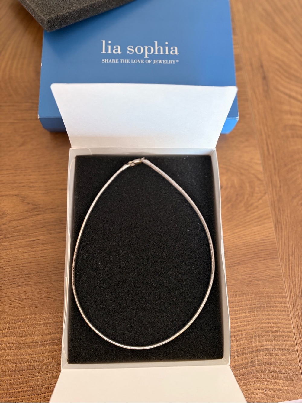 Lia Sophia Silver and gold Tone Snake Chain Necklace